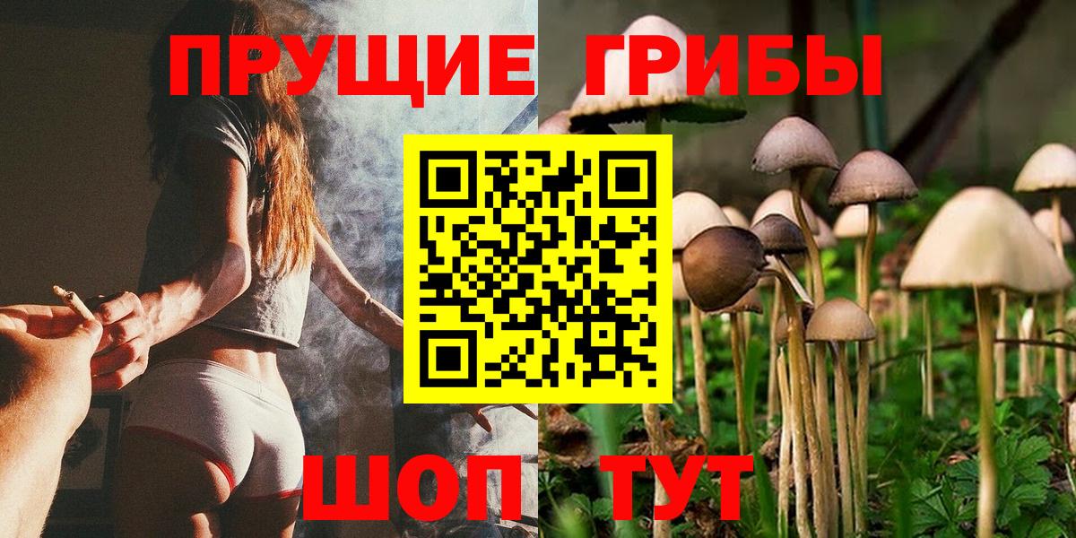 Галлюциногенные грибы Magic Shrooms  Вход с VPN  Котлас 
