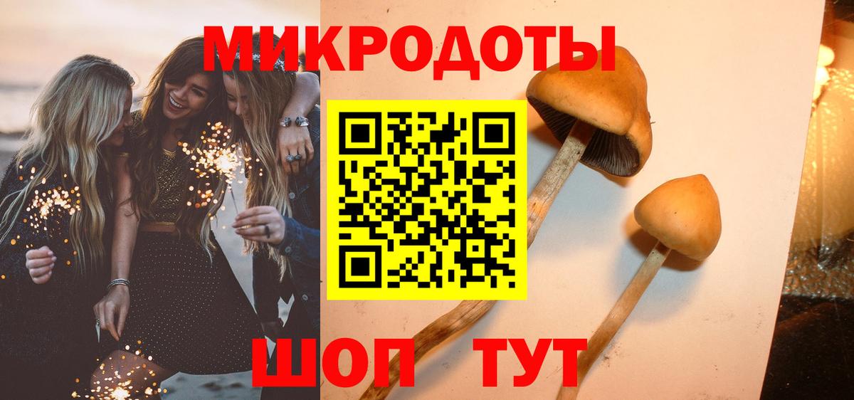 Псилоцибиновые грибы ЛСД Котлас